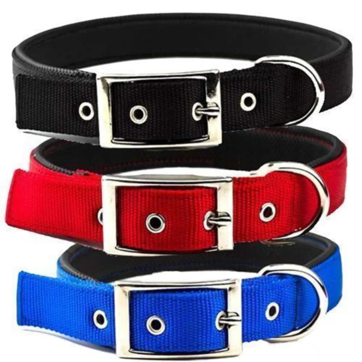 Köpek Tasması